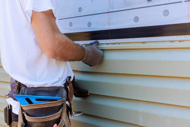 Affordable Vinyl Siding solutions in Lexington, IL